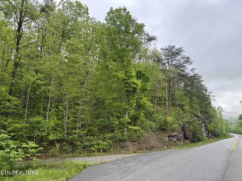 8472 Highway 25 W N, Duff, TN 37729