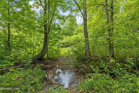 6010 Happy Valley Rd, Tallassee, TN 37878