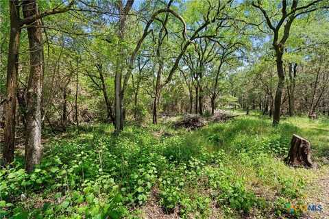 419 Valley View West Road, San Marcos, TX 78666
