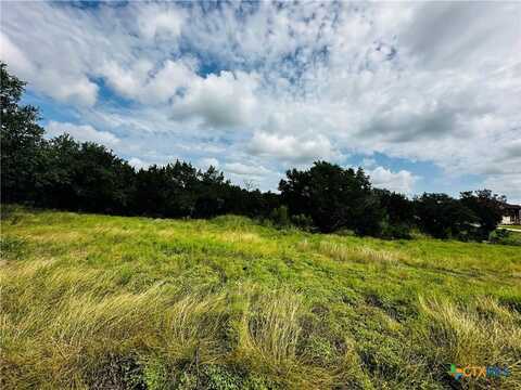156 Red Maple Circle, Killeen, TX 76549