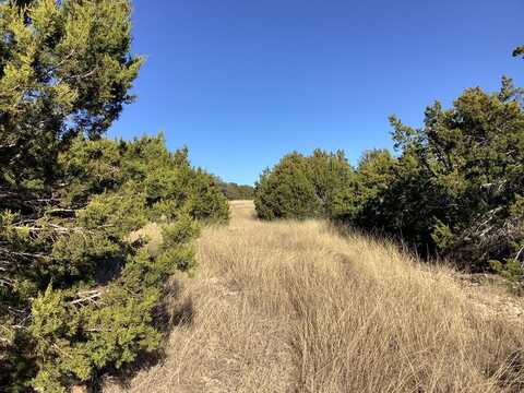 Vanguard Ridge Rd, Fredericksburg, TX 78624