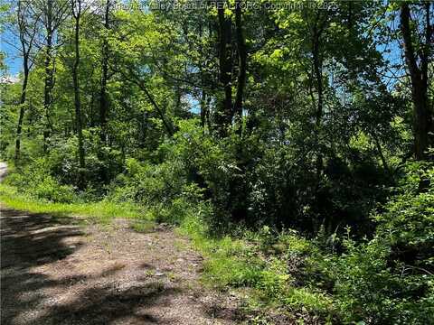 0 LTS Plantation Road, Sissonville, WV 25312