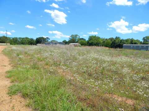 Tbd Lot 7 ZELA RD., Gilmer, TX 75644