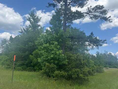 Lot 33 Raybo Drive, Kirbyville, TX 75956