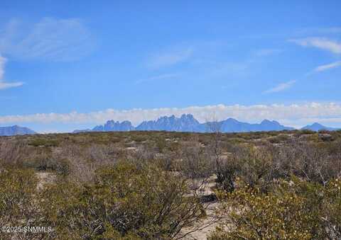 31 Tucson Avenue, Las Cruces, NM 88012