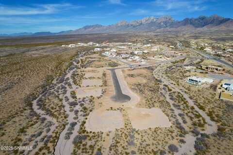 4100 Blackfoot Daisy Court, Las Cruces, NM 88011