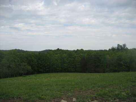003 Buckler Lane, Olive Hill, KY 41164