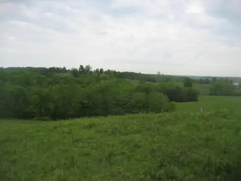 004 Buckler Lane, Olive Hill, KY 41164