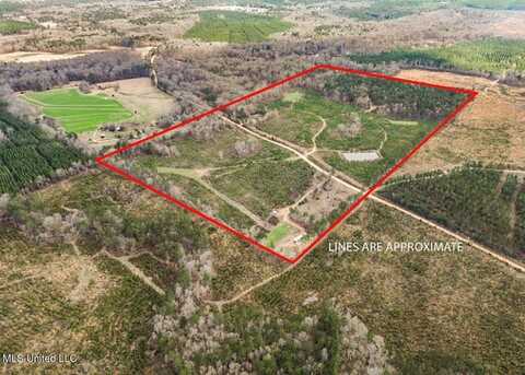 3771 Timberlane Road, Wesson, MS 39191