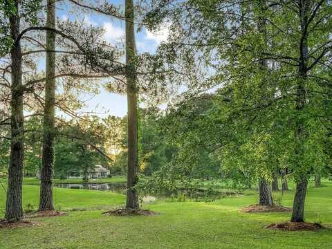 1080 Pine Cone Lane, Summit, MS 39666