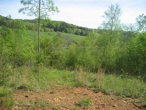 654 Silverleaf, Dugspur, VA 24325