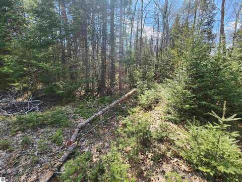 S Spruce Drive, Glennie, MI 48737