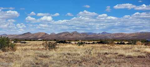 Lot 110 E Calle Entrada, Douglas, AZ 85607