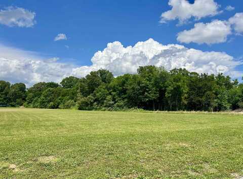 LOT 17 CORDOVA, Savannah, TN 38372