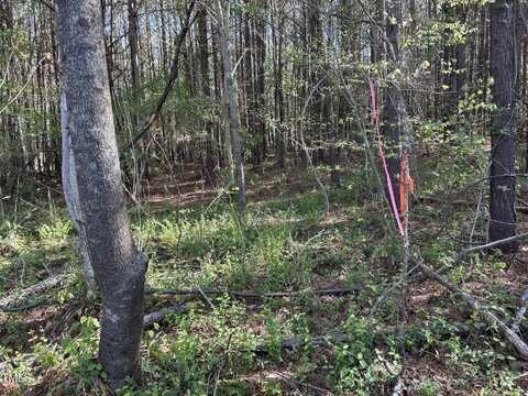 441 Baltimore Church Road, Warrenton, NC 27589