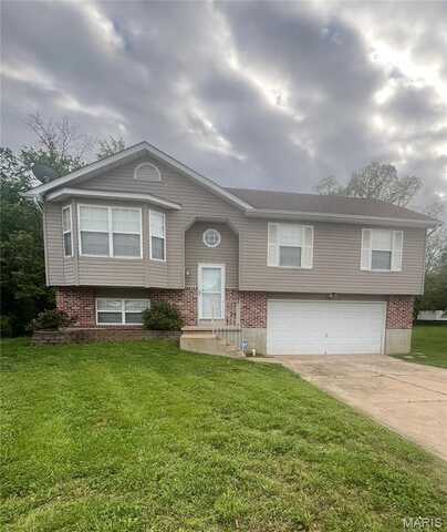 111 Cortez Circle, Festus, MO 63028