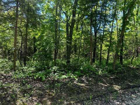 632 Basswood Drive, Leslie, MO 63056
