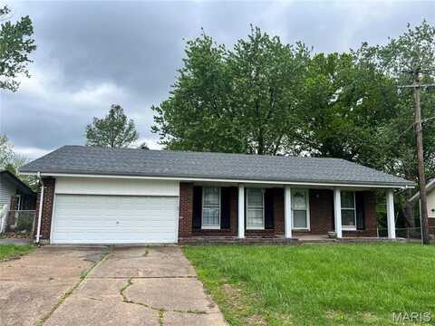 2018 Elkins Drive, Saint Louis, MO 63136