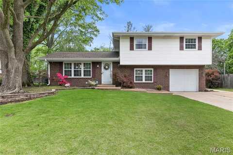 1809 Duncan Avenue, Swansea, IL 62226