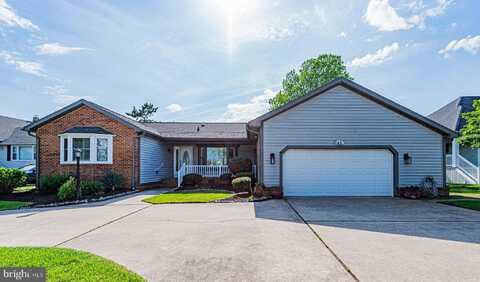 38396 WALNUT LANE, SELBYVILLE, DE 19975