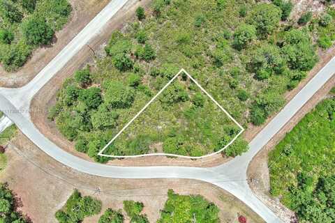 1104 Naples Ave S, Lehigh Acres, FL 33974