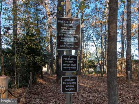 49 LOVE CREEK DRIVE, LEWES, DE 19958