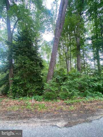 DRY BRIDGE RD, RUTHER GLEN, VA 22546
