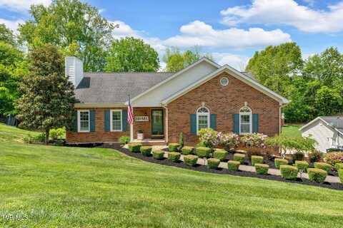 3141 Winesap Road, Kingsport, TN 37663