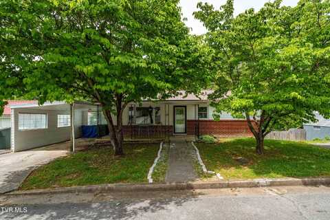 705 Holston Avenue, Elizabethton, TN 37643