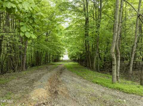 000 Culbertson Dr, Gate City, VA 24251