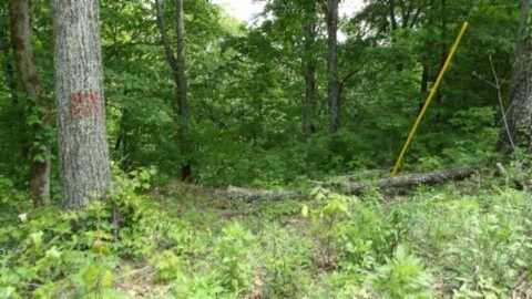 Lot 176 Rock Springs Rd, Celina, TN 38551