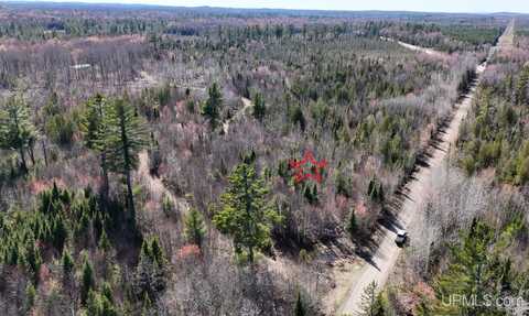 TBD37 King Lake, Covington, MI 49919