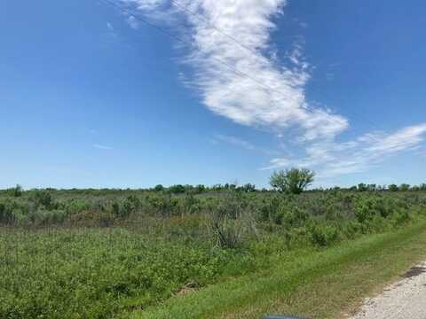 0 CR 126 Old Van Vleck Road, Van Vleck, TX 77482