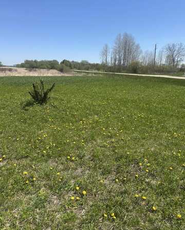 Lt0 Ditch Rd, Burnett, WI 53922