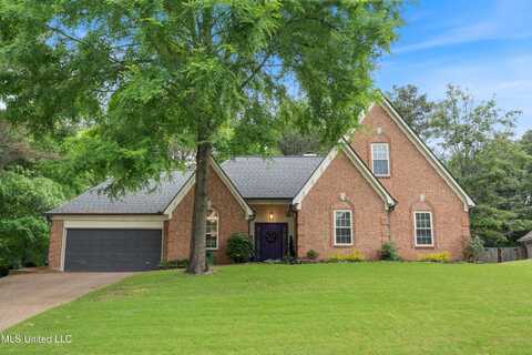 10210 Cypress Knee Drive, Olive Branch, MS 38654
