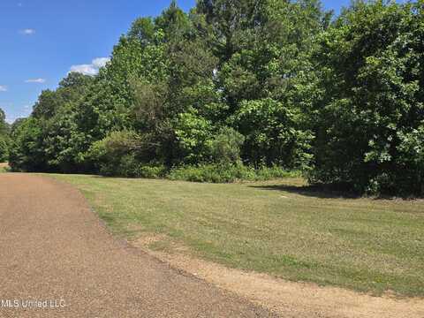 100 Luke Lane, Coldwater, MS 38618