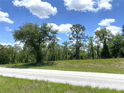 00 NE 20TH STREET, WILLISTON, FL 32696