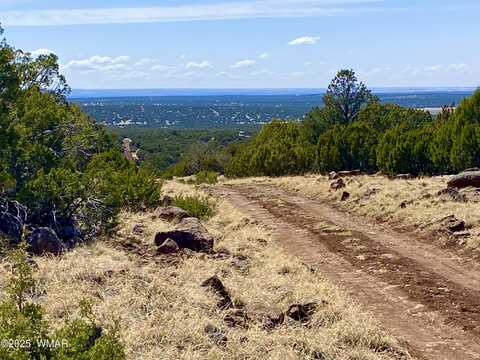 74 County Road 8056, Concho, AZ 85924