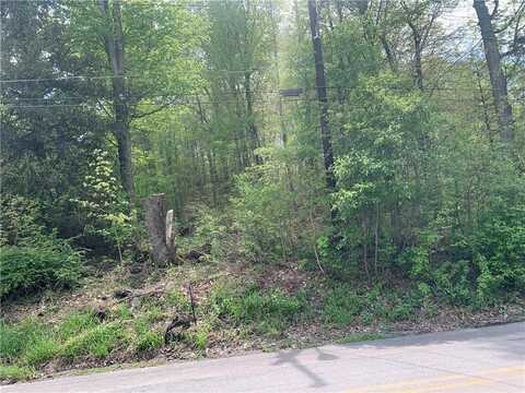 91 Lambert St, Shade Twp, PA 15926