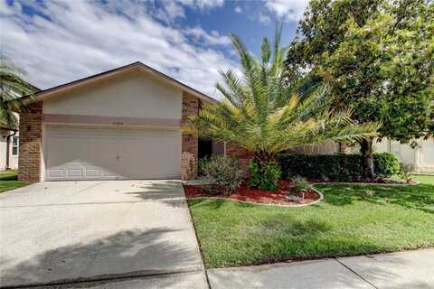 11325 GLENMONT DRIVE, TAMPA, FL 33635