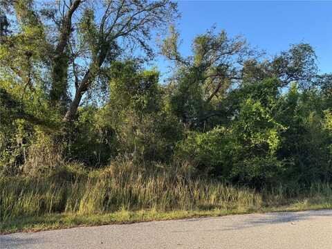1799 NE VOSS OAKS CIRCLE, ARCADIA, FL 34266