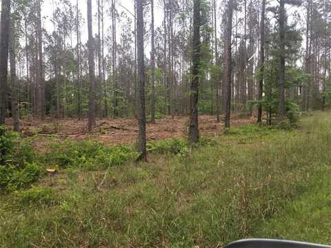 00 MIKE McConnell Road, Iva, SC 29655