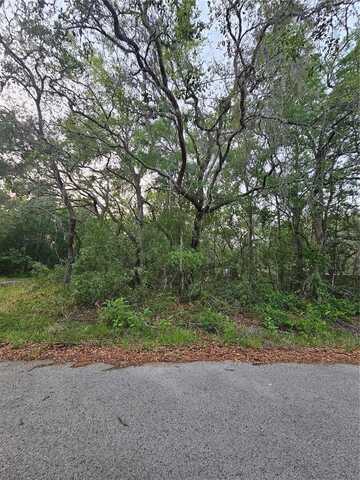 00 DOAKS STREET, NEW PORT RICHEY, FL 34654