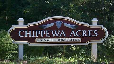 6631 Chippewa Trail, Indian River, MI 49749