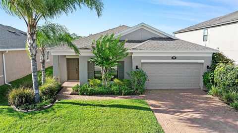 1099 MULTIFLORA LOOP, LUTZ, FL 33558