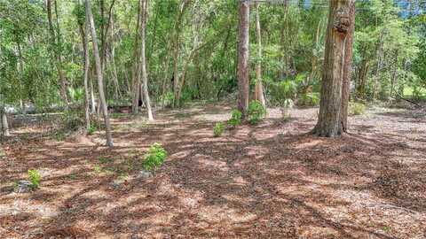 4170 W ANTHONY ROAD, OCALA, FL 34475