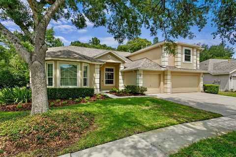 19207 AUTUMN WOODS AVENUE, TAMPA, FL 33647