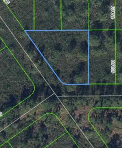 1316 LARK STREET, LAKE PLACID, FL 33852