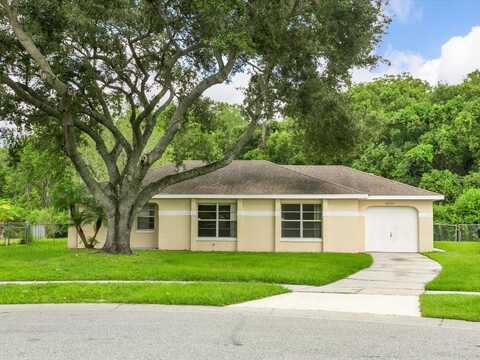 12513 INDIANA WOODS LANE, ORLANDO, FL 32824
