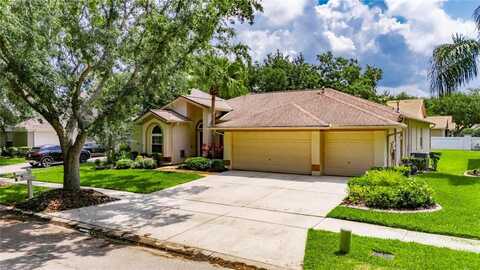 17711 HAMPSHIRE OAK DRIVE, TAMPA, FL 33647